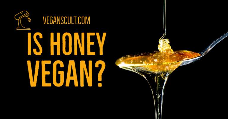 is honey vegan | veganscult.com