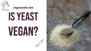 is yeast vegan | veganscult.com