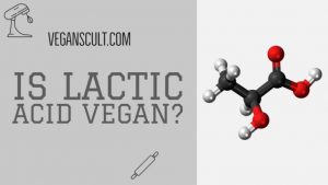is leactic acid vegan | veganscult.com