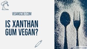 is xanthan gum vegan | veganscult.com