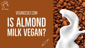 is almond milk vegan | veganscult.com