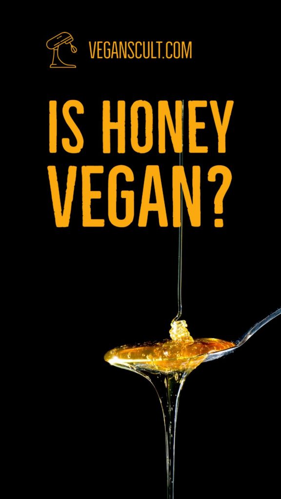 is honey vegan | veganscult.com