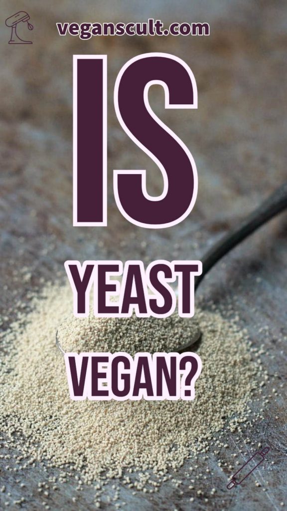 is yeast vegan | veganscult.com