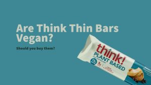 is think thin bar vegan