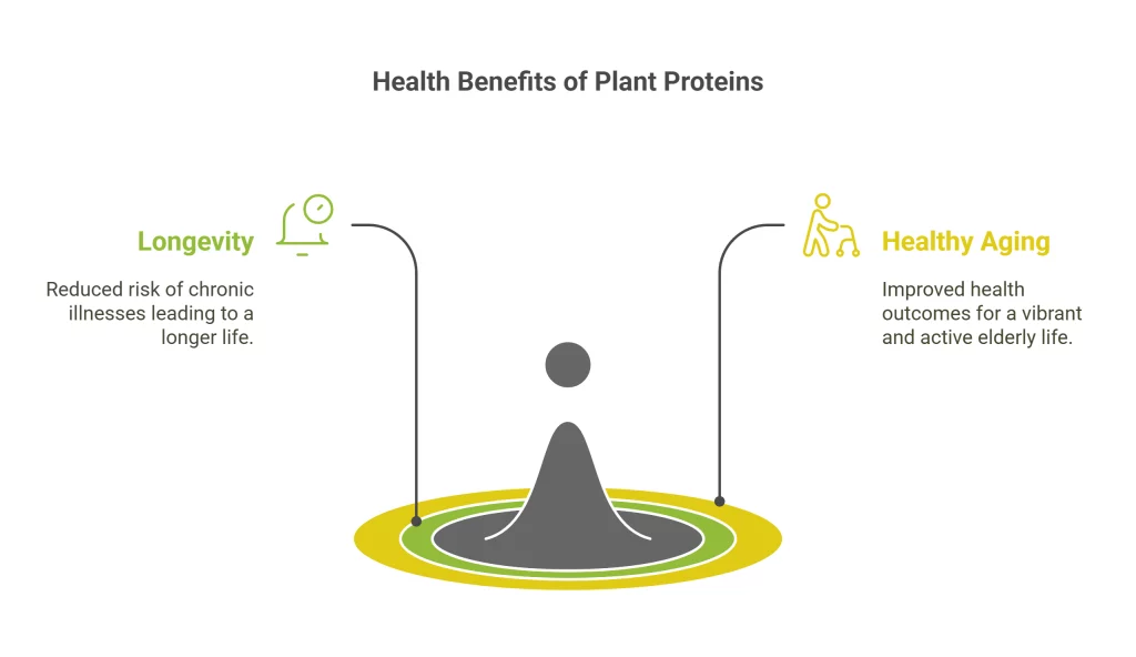 Benefits of Plant Proteins