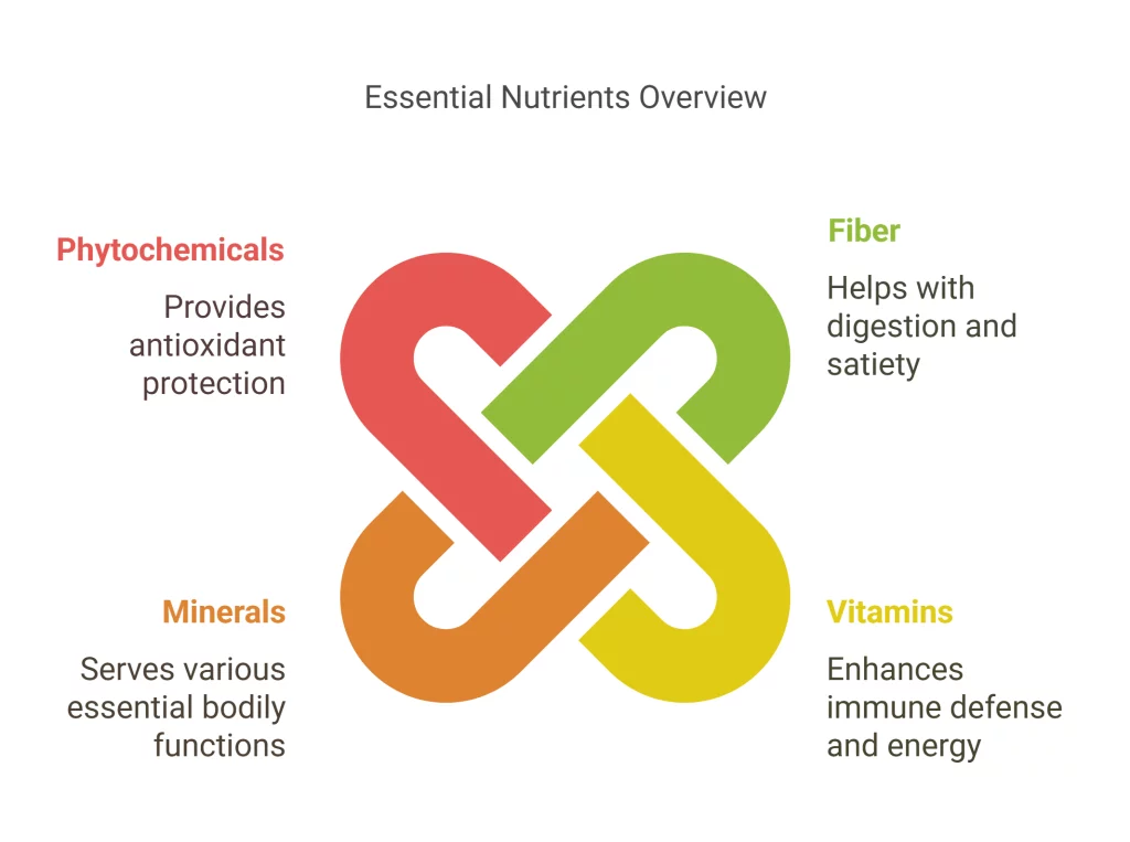 Importance of Fiber and Nutrients